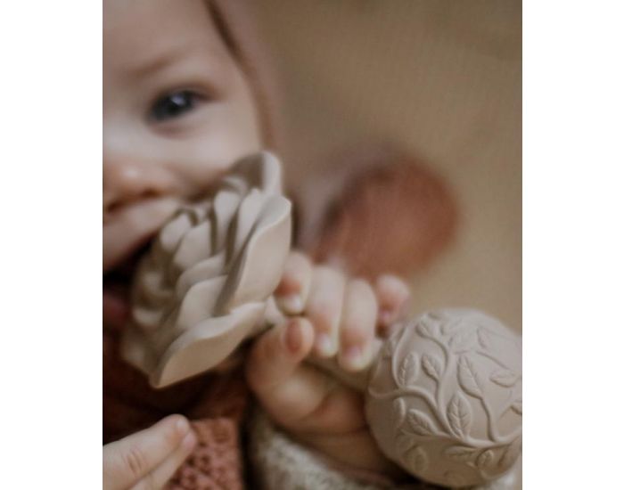 NATRUBA Hochet de Dentition en Caoutchouc Naturel - Rose - D�s la Naissance (3)