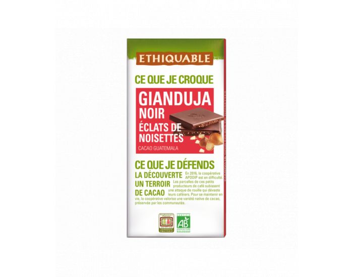 ETHIQUABLE Gianduja Noir Eclats de Noisettes Bio & Equitable - 100 g (1)