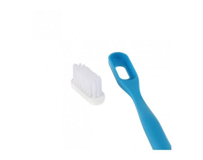 LAMAZUNA Brosse � dents �cologique  ayant une t�te t�te rechargeable SOUPLE (8)