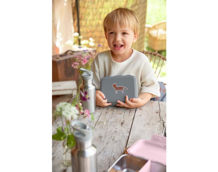 LASSIG Bo�te � go�ter en inox - Safari Tiger (3)