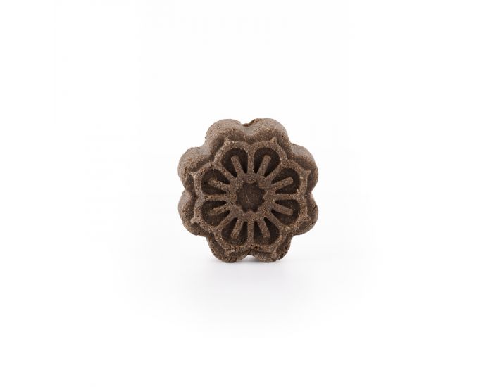 DRUYDES Shampoing solide - cheveux secs (1)