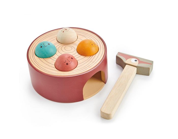 TENDER LEAF TOYS Jeu de Woodpecker - D�s 18 mois (1)