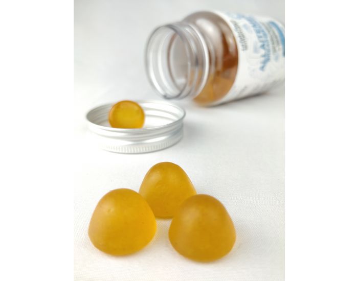 LA FABRIQUE DES MAMANS Gummie ALLAITEMENT - Compl�ment Alimentaire  (3)