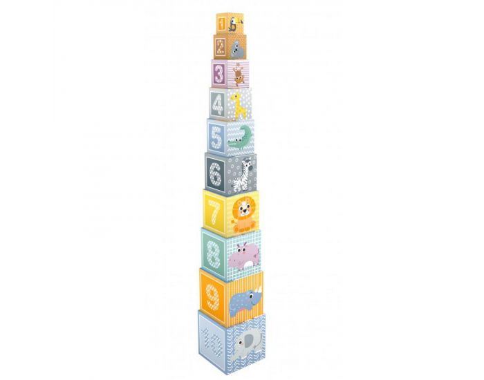 ULYSSE Cubes Gigognes 10 Blocs - D�s 2 ans (1)