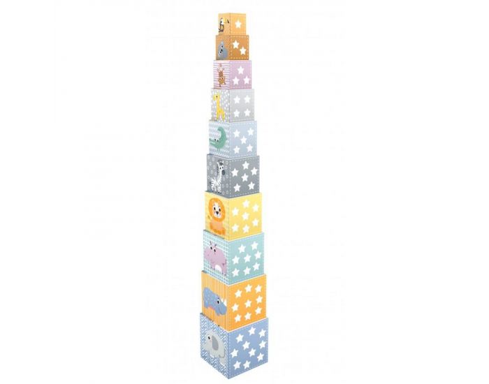 ULYSSE Cubes Gigognes 10 Blocs - D�s 2 ans (2)