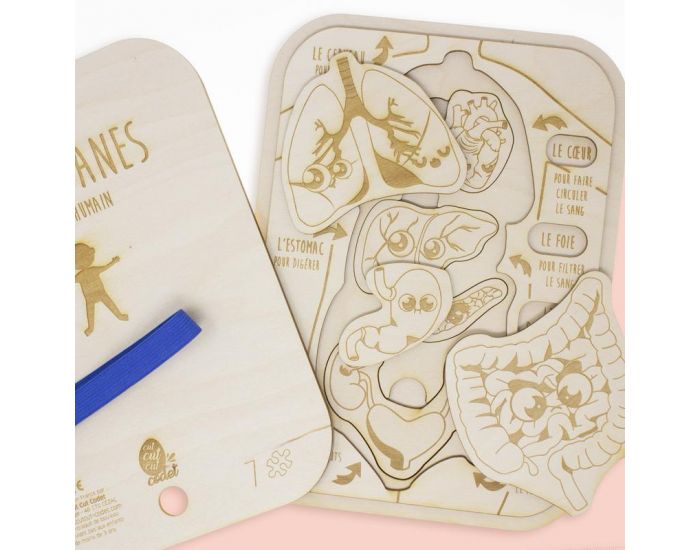 CUT CUT CUT CODET Puzzle 3D en bois - Les organes - D�s 8 ans  (1)