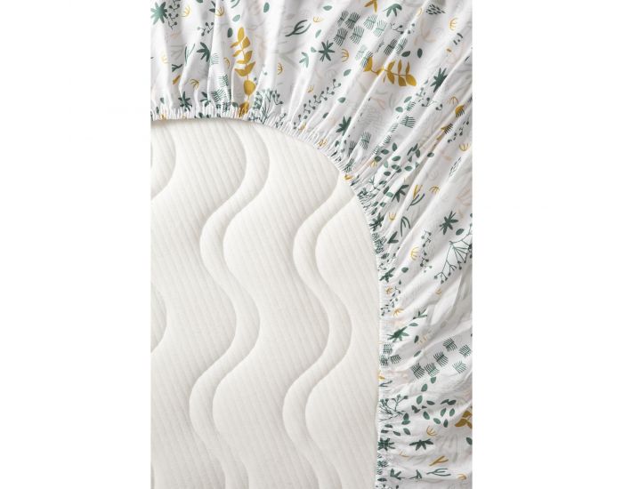 KADOLIS Drap housse Coton Bio pour Lit b�b� - Yukari (9)