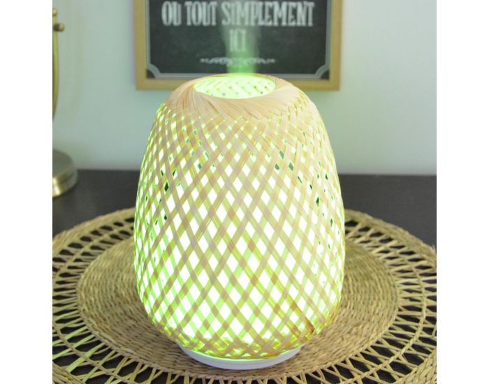 ZEN'AR�ME Diffuseur Ultrasonique - Olaki Rotin Tiss� (1)