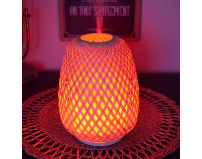 ZEN'AR�ME Diffuseur Ultrasonique - Olaki Rotin Tiss� (2)