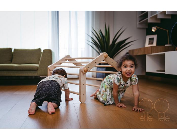 ETTE TETE Triangle de Pikler Transformable Mopitri - D�s 12 mois (4)