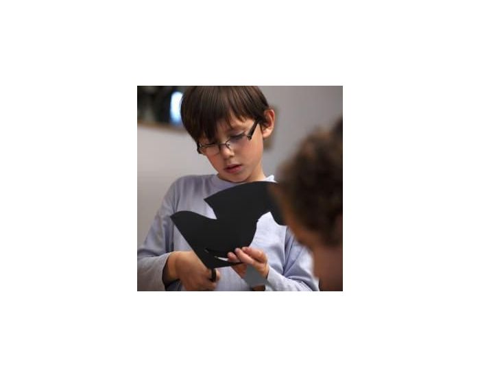 COCO D'EN HAUT Kit de Sr�ation de Silhouettes d'Ombres - D�s 7 ans (3)