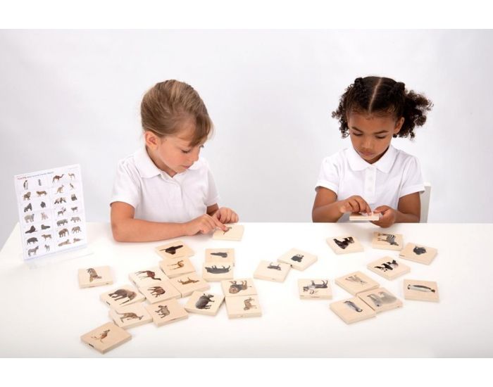 TICKIT Memory animaux sauvages - D�s 12 mois (3)