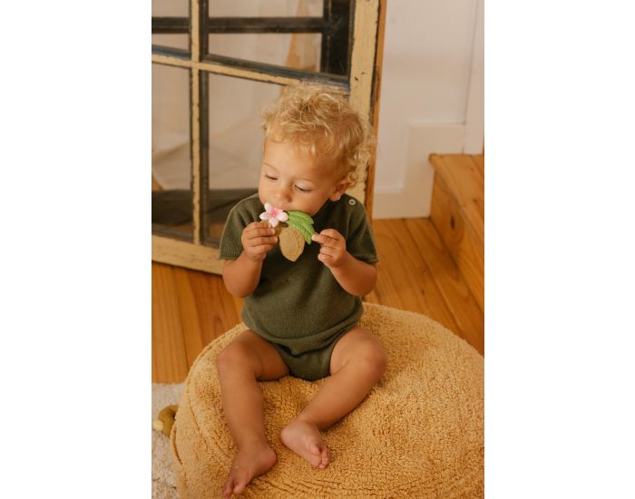 OLI ET CAROL Jouet de dentition Aly l'amande - D�s la Naissance (1)