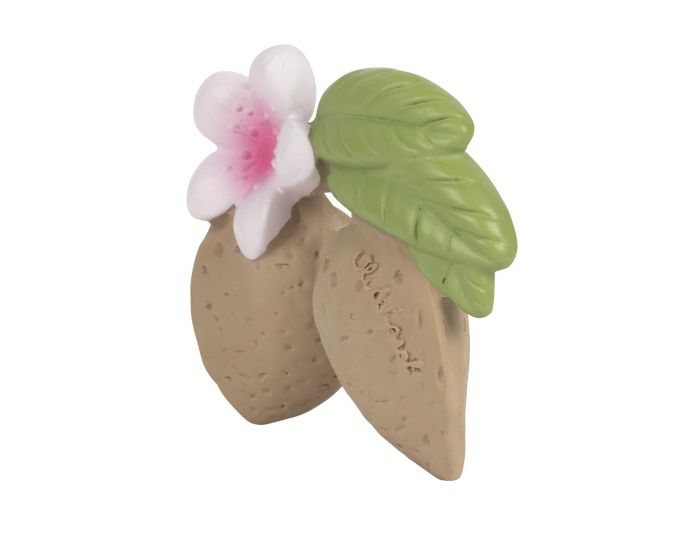 OLI ET CAROL Jouet de dentition Aly l'amande - D�s la Naissance (2)