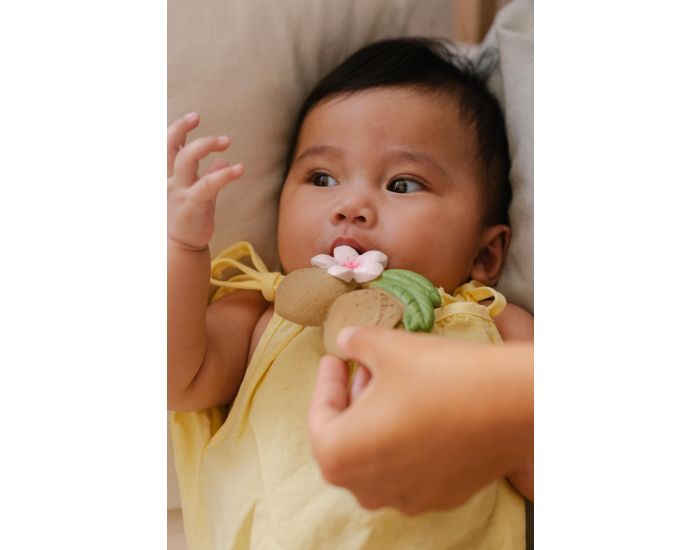 OLI ET CAROL Jouet de dentition Aly l'amande - D�s la Naissance (3)