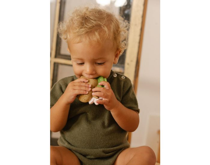 OLI ET CAROL Jouet de dentition Aly l'amande - D�s la Naissance (5)