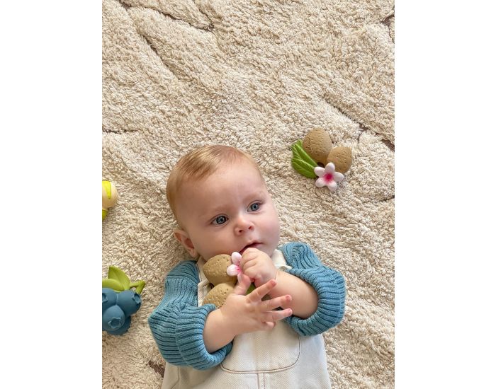 OLI ET CAROL Jouet de dentition Aly l'amande - D�s la Naissance (6)