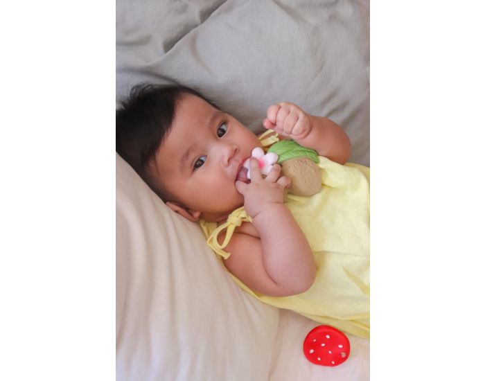 OLI ET CAROL Jouet de dentition Aly l'amande - D�s la Naissance (7)