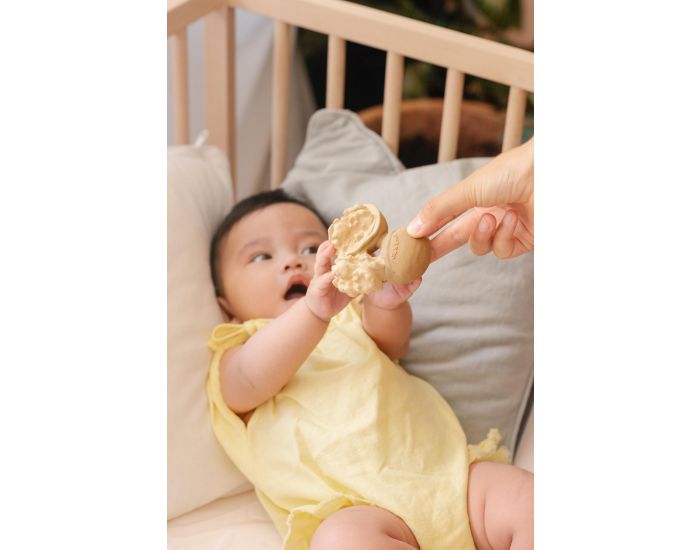 OLI ET CAROL Anneau de dentition Nutty la noix - D�s la Naissance (1)