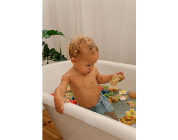 OLI ET CAROL Anneau de dentition Nutty la noix - D�s la Naissance (4)