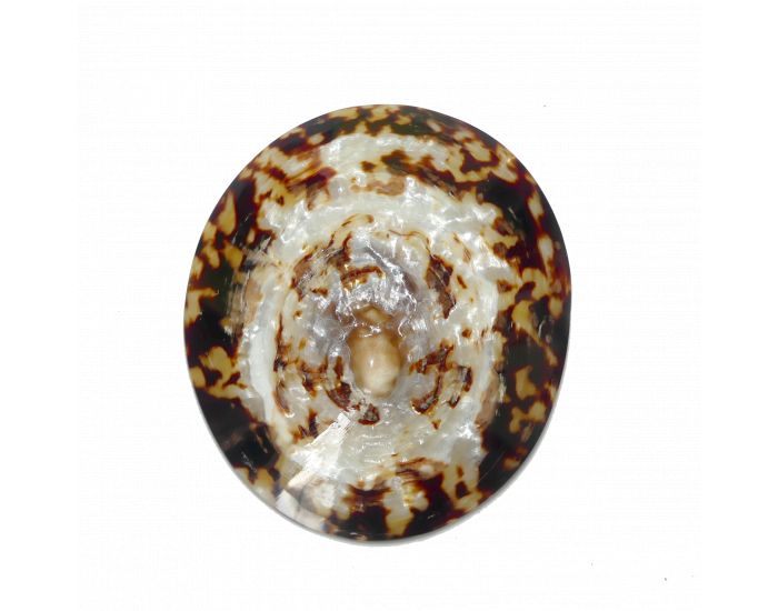 MUM ZEN Coquillages d'Allaitement - Lot de 2 - Taille XL (2)