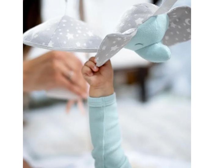 ADEN + ANAIS Tapis d'�veil avec arches Rising Star - D�s la naissance (4)