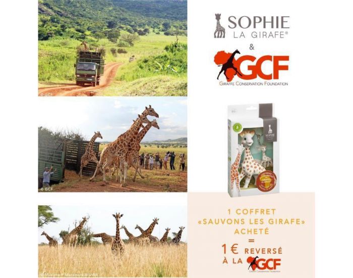 VULLI Coffret Sauvegardons les Girafes - Sophie la Girafe et son Porte-Cl  - Ds la naissance (3)