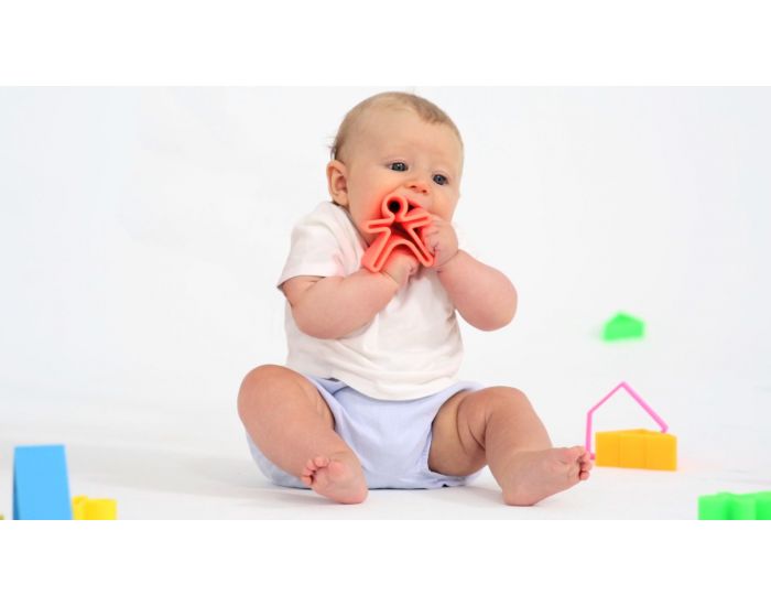 DENA Personnages et maisons en Silicone - D�s La Naissance (2)