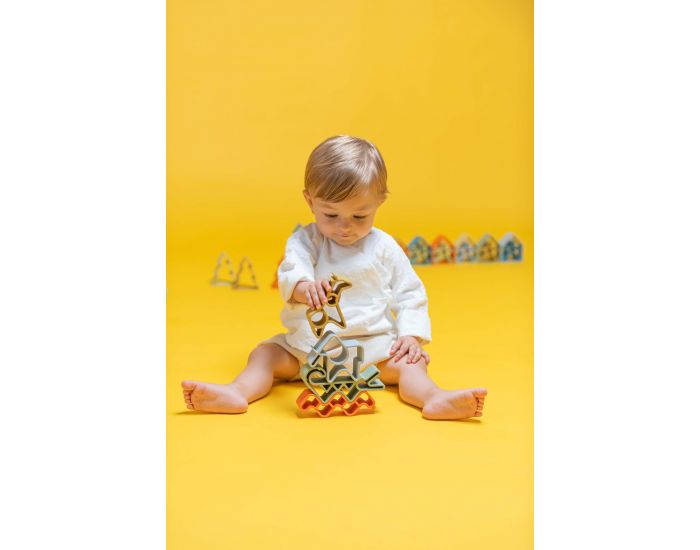 D�NA Animaux en Silicone - D�s la Naissance (1)