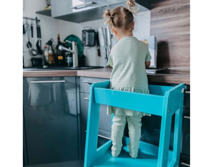 TISSI Tour d'Observation volutive - FELIX - Ds 12 mois (2)