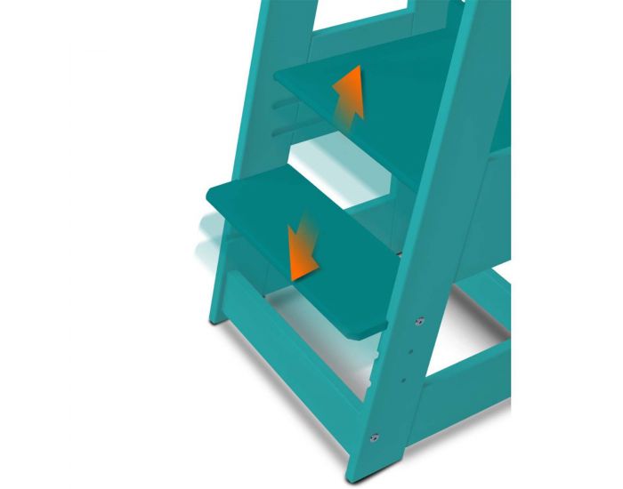 TISSI Tour d'Observation volutive - FELIX - Ds 12 mois (5)