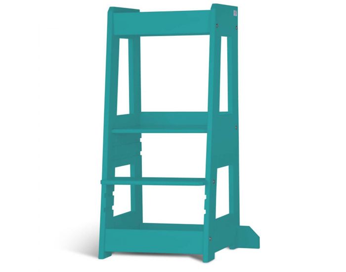 TISSI Tour d'Observation volutive - FELIX - Ds 12 mois (6)