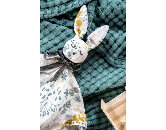  KADOLIS Doudou Lapin Lange ROBIN - Yukari (7)