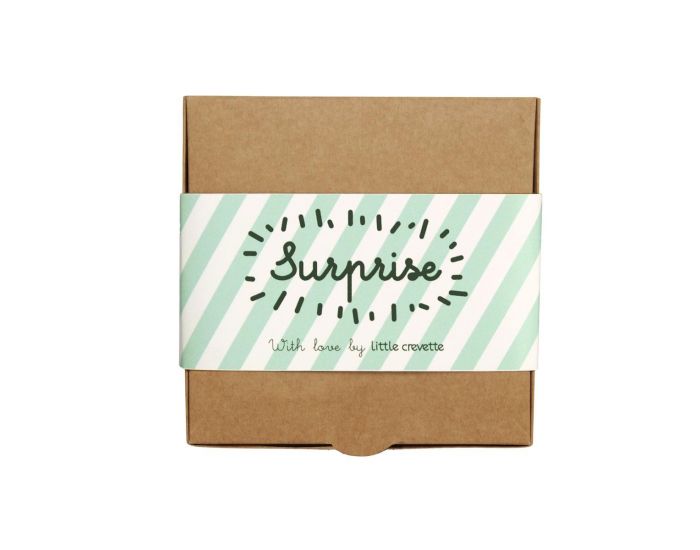 LITTLE CREVETTE Coffret cadeau body et bonnet toile (8)