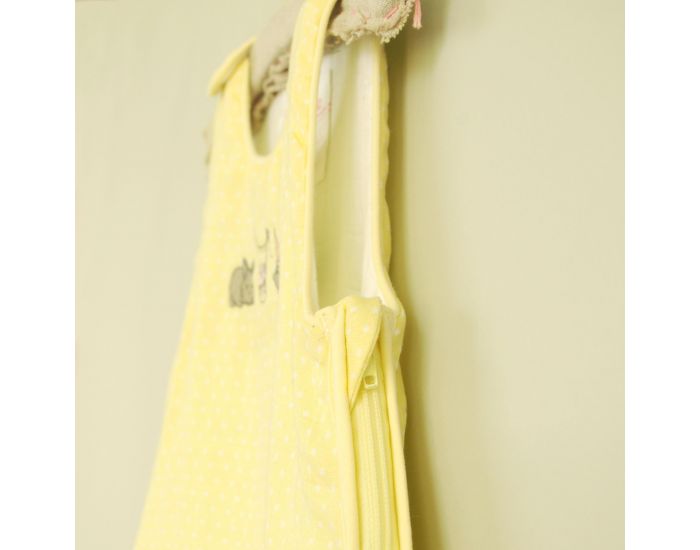 LITTLE CREVETTE Gigoteuse t en lange jaune Happy Birthday (2)