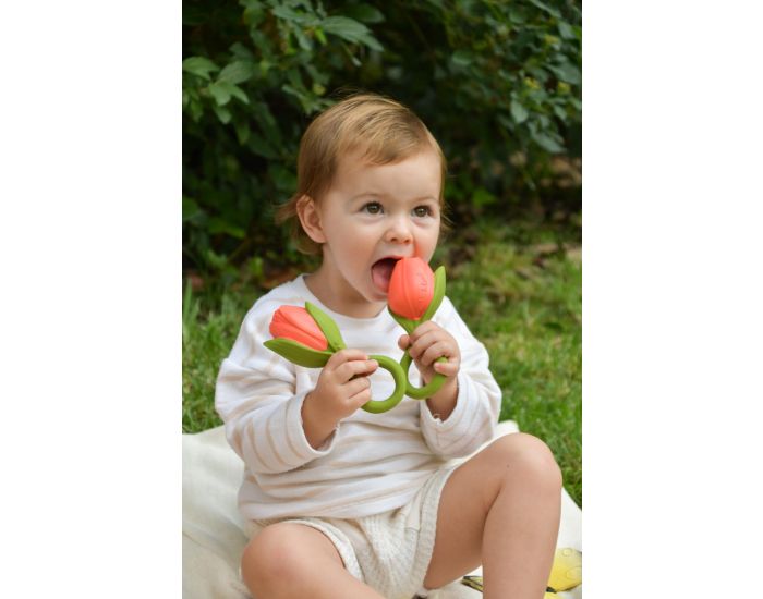 OLI ET CAROL Jouet De Dentition Theo La Tulipe - D�s La Naissance (1)