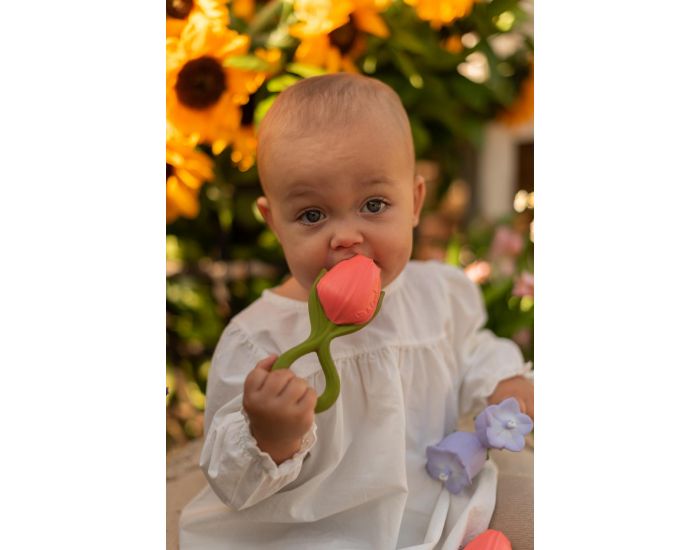 OLI ET CAROL Jouet De Dentition Theo La Tulipe - D�s La Naissance (3)