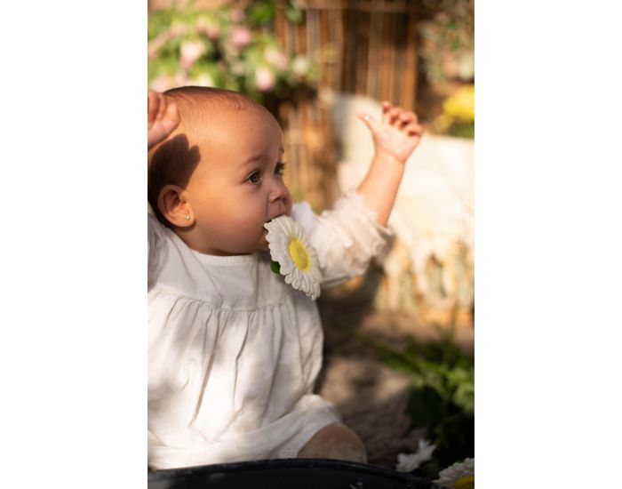 OLI ET CAROL Jouet De Dentition Margarita La Marguerite - D�s La Naissance (1)