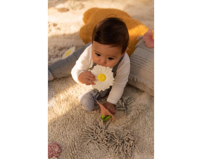 OLI ET CAROL Jouet De Dentition Margarita La Marguerite - D�s La Naissance (3)