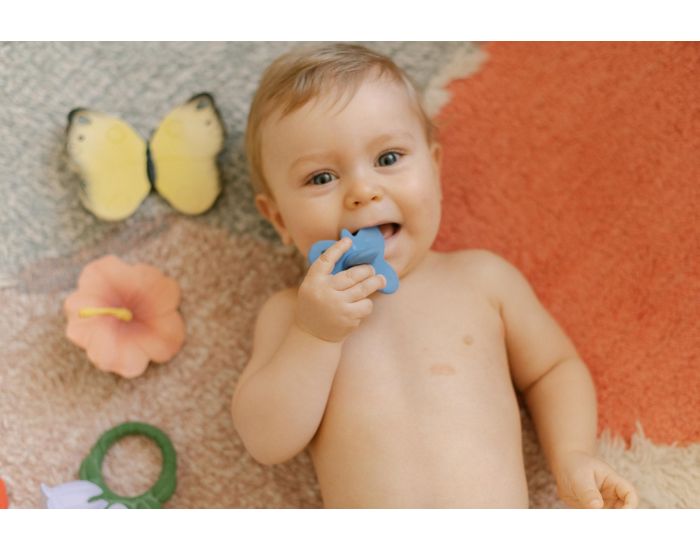 OLI ET CAROL Jouet De Dentition - Blues Le Papillon - D�s La Naissance (2)