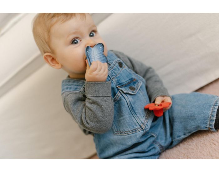 OLI ET CAROL Jouet De Dentition - Blues Le Papillon - D�s La Naissance (3)