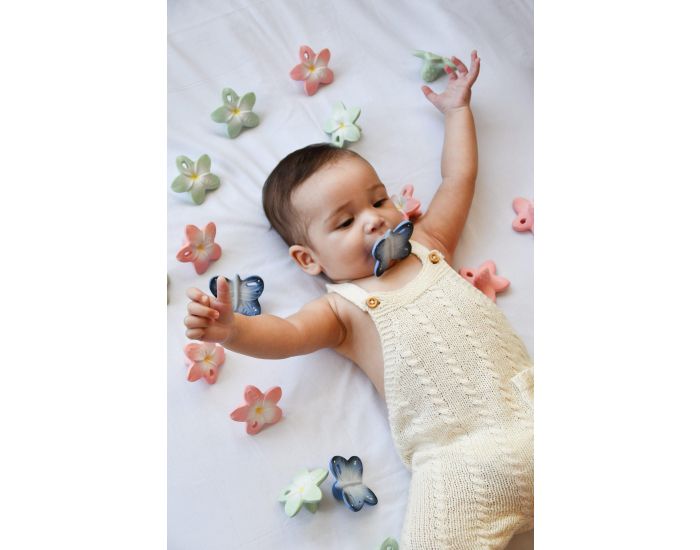 OLI ET CAROL Jouet De Dentition - Blues Le Papillon - D�s La Naissance (4)