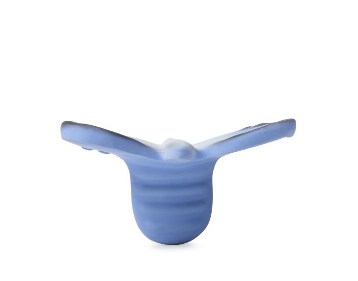 OLI ET CAROL Jouet De Dentition - Blues Le Papillon - D�s La Naissance (6)