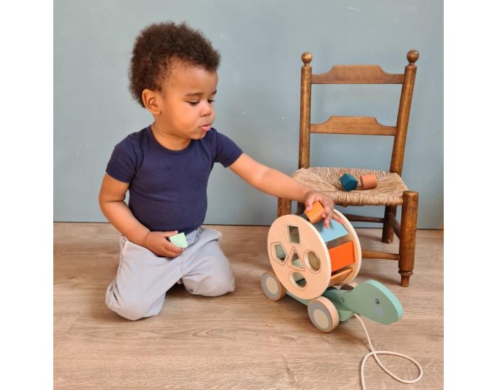 EGMONT TOYS Tortue � tirer - D�s 12 mois (1)