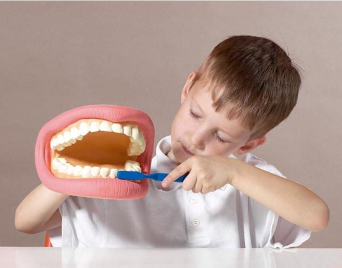 TICKIT Kit g�ant de d�monstration dentaire - D�s 3 ans (3)