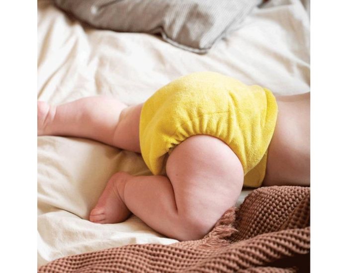 TOTS BOTS Couche Lavable Classique - BAMBOOZLE  - Catkin (3)