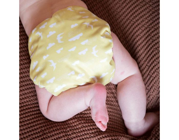 TOTS BOTS Couche Lavable TE2 - PEENUT - Taille Unique (3.5-15kg) - Above the Clouds (2)