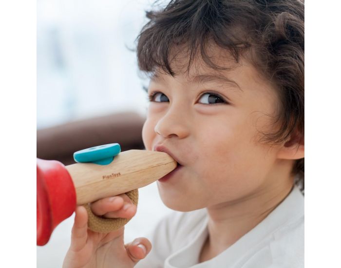 PLAN TOYS Kazoo - D�s 3 ans (2)