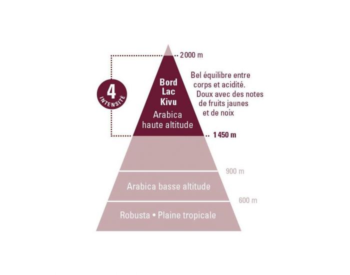 ETHIQUABLE Caf� Congo GRAINS Bio & Equitable - 500 g (1)