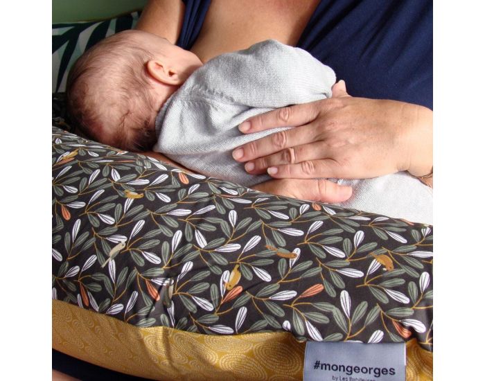 LES BABILLEUSES Coussin de Maternit� - Georges Espoir (4)